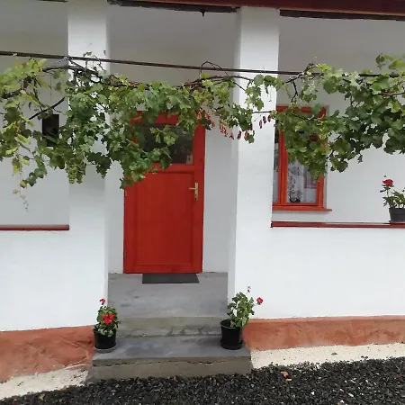 Nagyhalap Guest house *