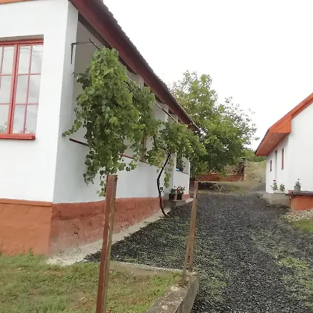 Nagyhalap Pensiune Cserhathalap